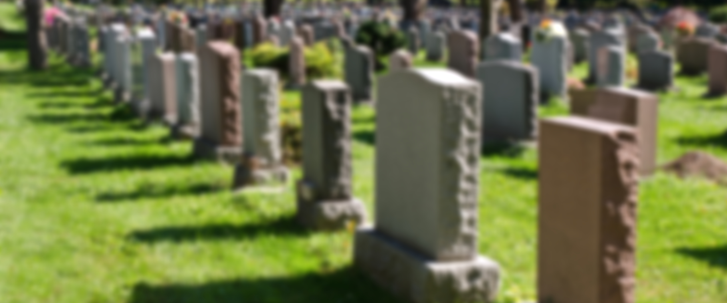In memory of Members, Boaters & Supporters